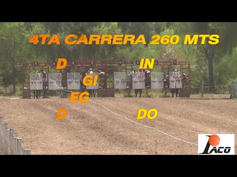 ELEGIDO DON NICO 16 1 22