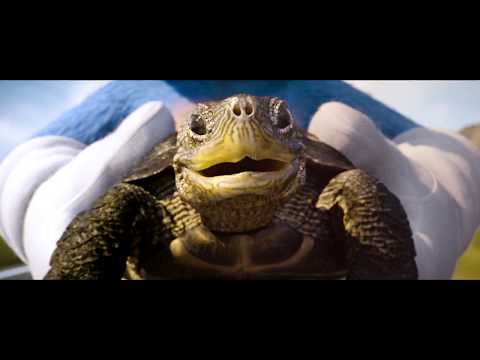 SONIC | TV SPOT – ALIVE 06 | DE