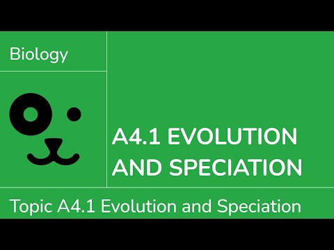 A4.1 Evolution and Speciation [IB Biology SL/HL]