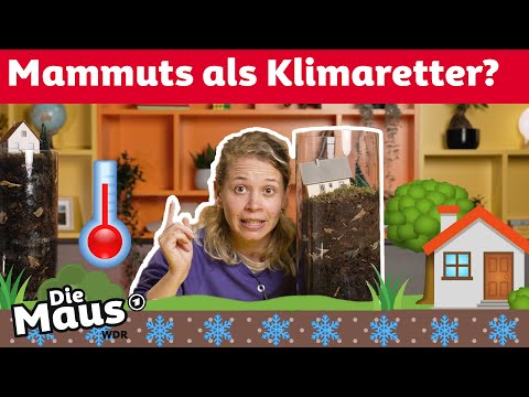 Das passiert, wenn der Permafrostboden taut | DieMaus | WDR