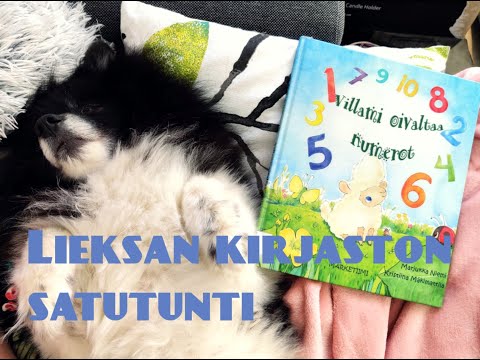 Satutunti: Villami oivaltaa numerot