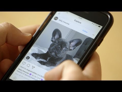 How Instagram Uses Machine Learning To Help You Explore