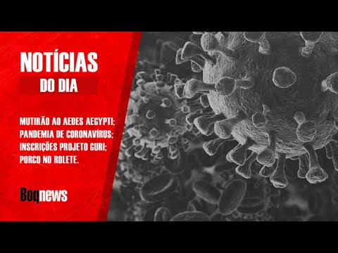 Coronavírus afeta cotidiano de brasileiros
