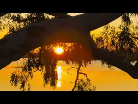 Monocule x Leo Stannard - Stargazing | Unofficial Video