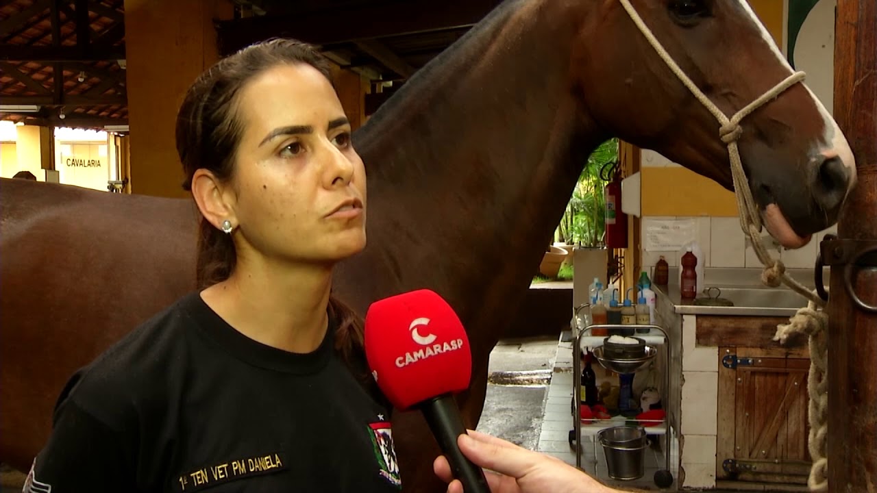 Conheça o Regimento de Cavalaria da Polícia Militar