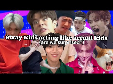 ✨️ stray kids acting like actual kids for 8 minutes straight ✨️