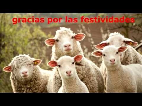 Rey de Reyes - MELEJ MALJEI HAMELAJIM - מלך מלכי המלכים