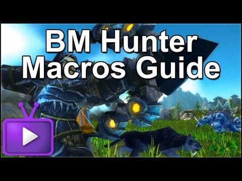 ► Mists of Pandaria - BM Hunter Macros Guide - 1 Shot Macro Included