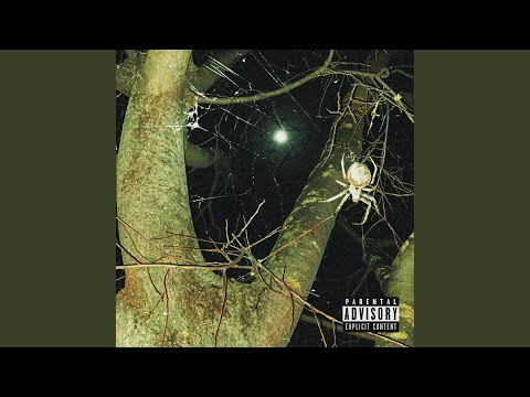 salonā (feat. mulagetmula)