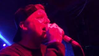 Dog Fashion Disco - Vertigo Motel