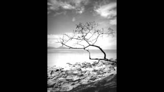 At your feet by clint Brown.wmv