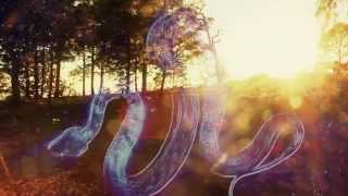 TAU. A WINK TO THE ELEMENTS