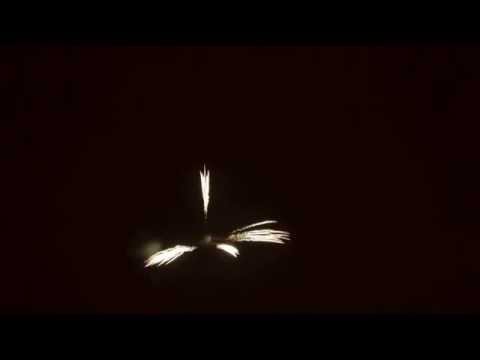 SCP261/100 - 100mm 4 angle Chrysanthemum Shell