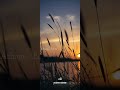 Enna Ithuvo Ennai Suttri Full Screen Whatsapp Status