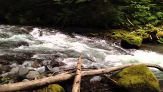 preview picture of video 'Zigzag River, Mt. Hood, Oregon'