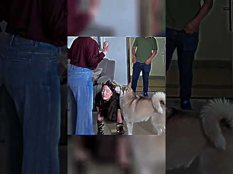 EL HUSKY MAS BASADO 💀