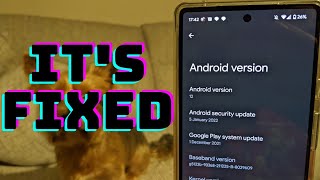 Pixel 6 January 2022 Update - This Is The Experience We Expected!