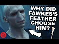 Why Did Fawkes S Feather Choose Voldemort Harry Potter Theory