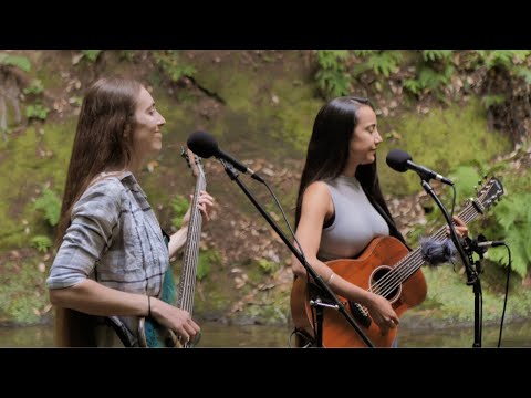 Katalysst - Paper Airplanes (Live from the Forest)