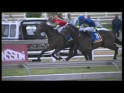 Scottsville 18082013 Race 7 interview