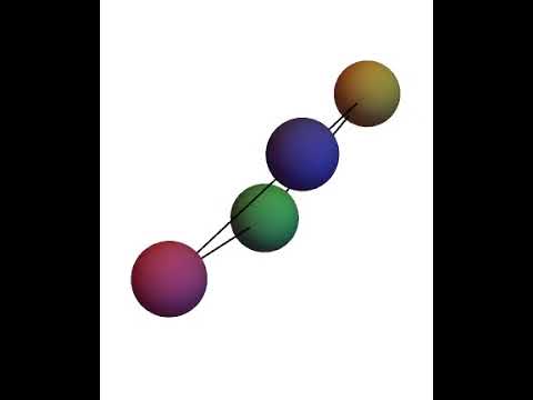 基礎理工学科 The dynamics rectangular bead-spring molecular