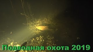 Ловля линя на озере летом ночью