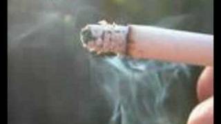 somewhere along the line