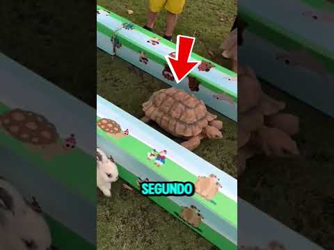 Comprobaron Que El Cuento Era Una Enseñanza 🤯