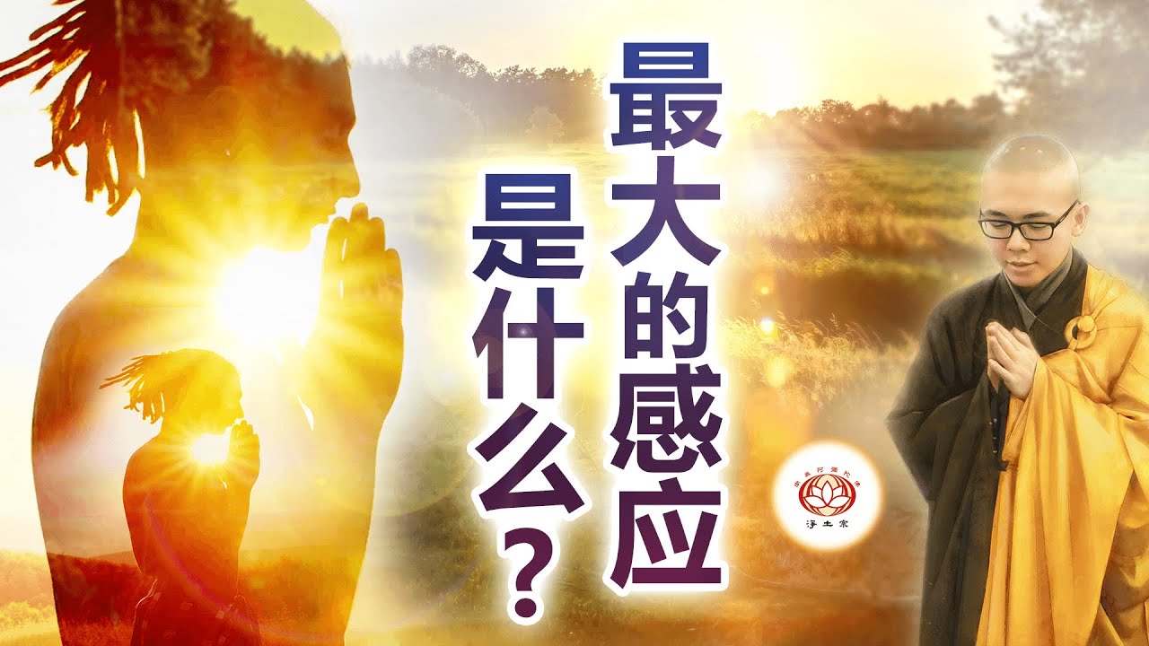 最大的感应是什么？ 👼 | 净本法师 主讲