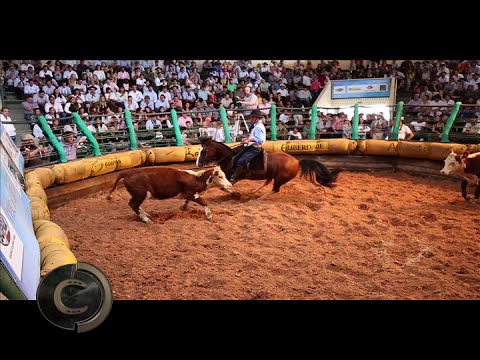 Estância Vendramin vende Bocal de Ouro 2016!