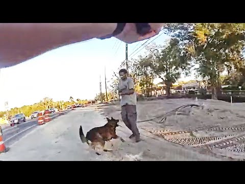 Volusia County Deputies Use K9 to Capture Armed Fugitive After Wild Pursuit