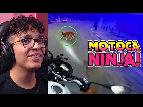 Deni reage a SUSTOS DE MOTO (EP. 132)