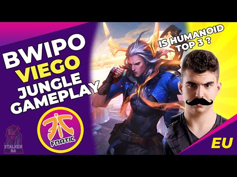 Fnatic Bwipo Q&A - Opinion On Werlyb - Wunder In Compare To Nuguri And Shy? - Is Humanoid Top 3?