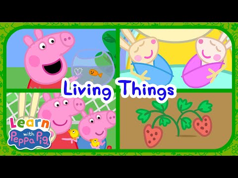 Learn About Living Things With Peppa Pig 🐭 Educational Videos for Kids 📚 Learn With Peppa Pig