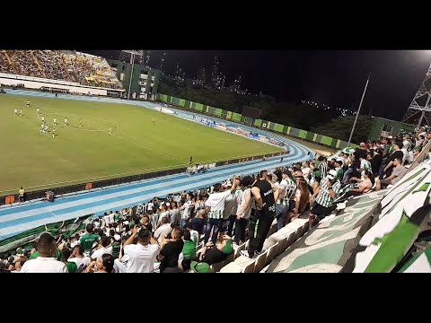 "" Barra: Los del Sur &bull; Club: Atlético Nacional