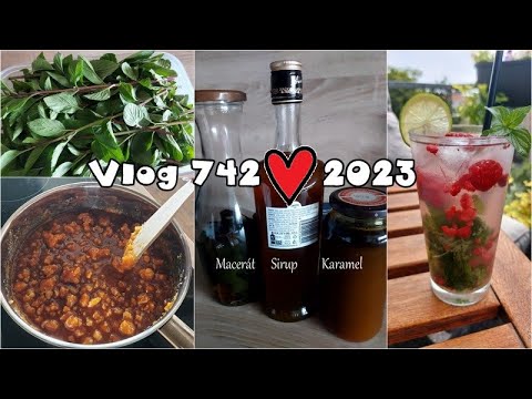 Vlog 742/23 - mátový