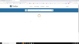 Reverse Image Search with Google and Tineye