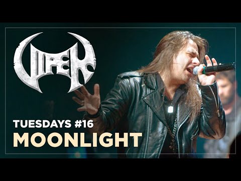 Moonlight - Viper