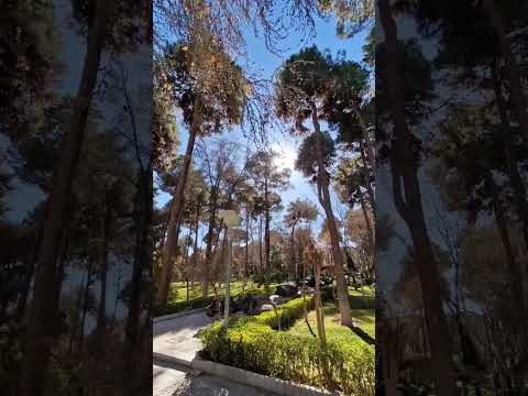 walk with me #shortvideo #walkwithme #viral