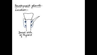 HUMAN PHYSIOLOGY: CHEMICAL COORDINATION AND INTEGRATION: PARATHYROID GLAND 11 CBSE/ISC-NEET