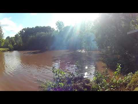 Úlibický koláč 2018: SDH Slatiny A ženy