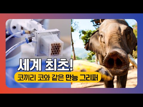 미세 바늘까지 잡을 수 있는 코끼리 코 그리퍼