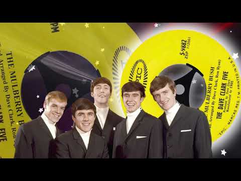 The Dave Clark Five  -  The Mulberry Bush (1963)