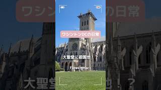 大聖堂に遊園地！？DCで85年続く「花祭り」がほっこり最高すぎた🎡🌷#ワシントンdc #アメリカ生活 #海外生活 #flowermart