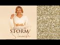 Peace In the Storm