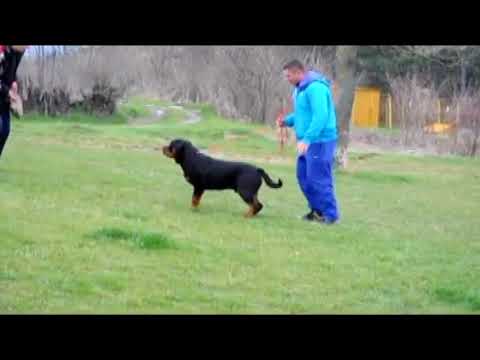 Sultan Of Sanny Hill 12 months new