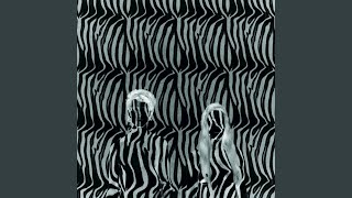 Zebra (UK Radio edit)