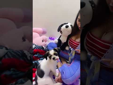 My New Channel Support Buys Fun Boys #shorts #trending #ilakkiya#todaytrending(1)