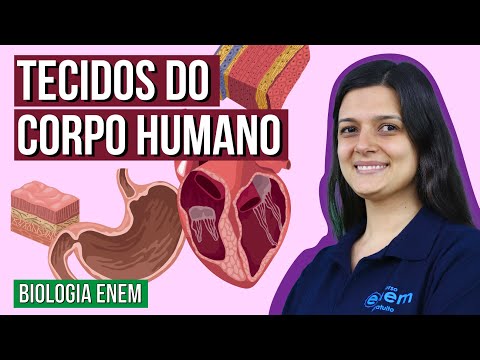 TECIDOS DO CORPO HUMANO | Resumo de Biologia Enem. Professora Cláudia Aguiar