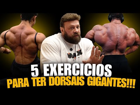 FOR THE PERFECT BACK WORKOUT YOU NEED 5 EXERCISES!